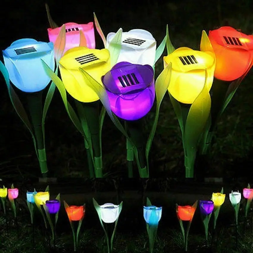 TulipBloom - Zářivé solární osvětlení tulipánů