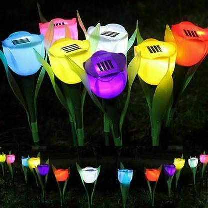 TulipBloom - Zářivé solární osvětlení tulipánů